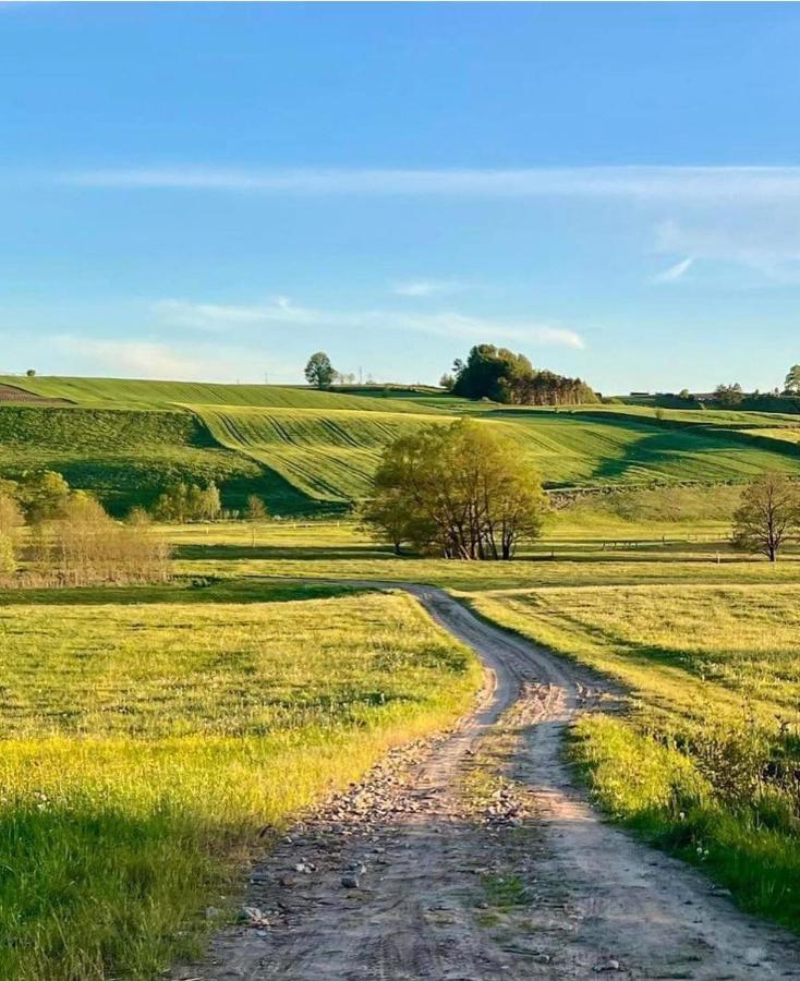Domek Matylda- Kaszuby Villa Nowe Czaple  Bagian luar foto