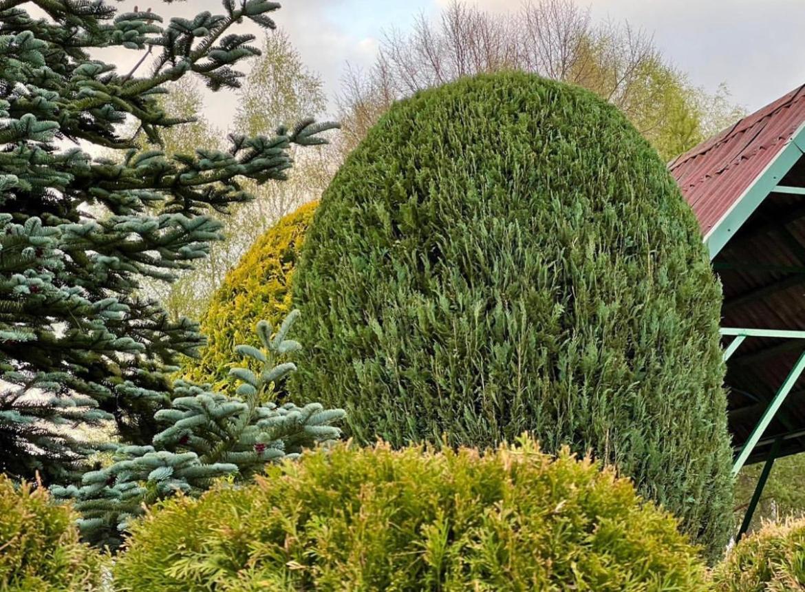 Domek Matylda- Kaszuby Villa Nowe Czaple  Bagian luar foto
