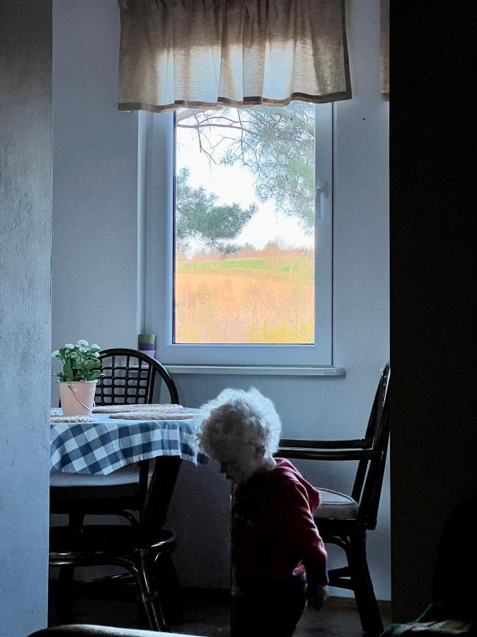 Domek Matylda- Kaszuby Villa Nowe Czaple  Bagian luar foto