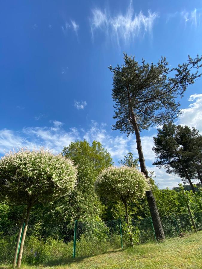 Domek Matylda- Kaszuby Villa Nowe Czaple  Bagian luar foto